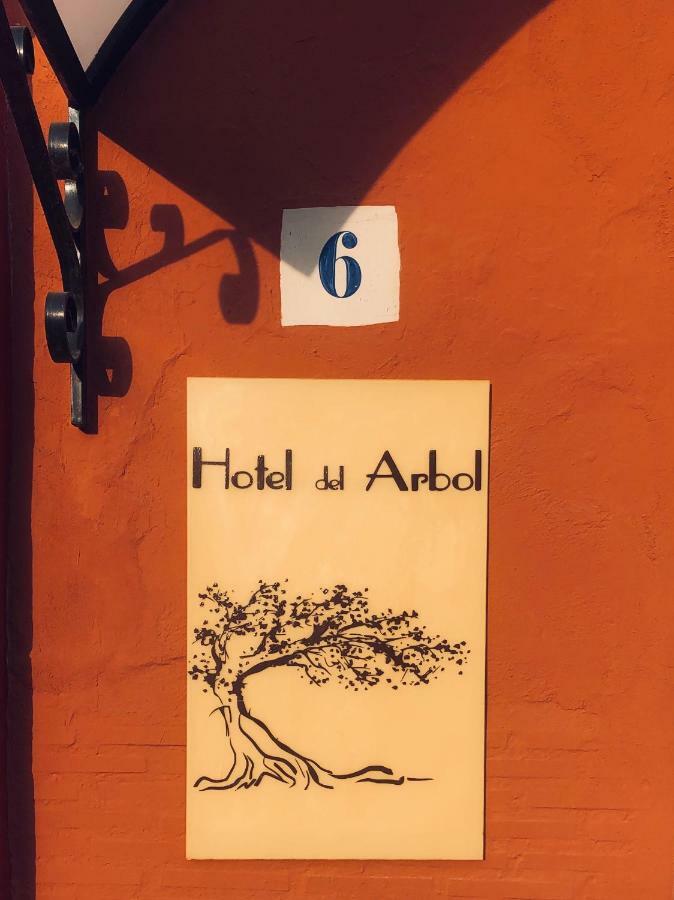 Hotel Del Arbol Xàtiva Exterior photo